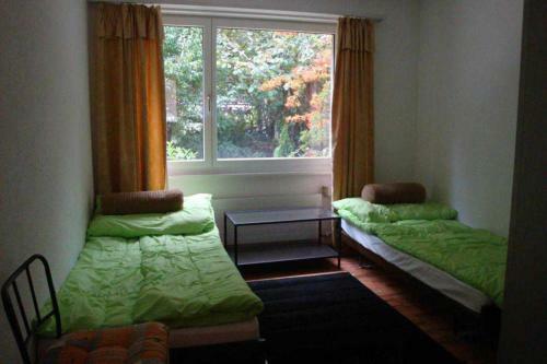 Apartments In Leafy Suburb