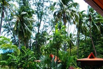 Hotel Cyana Beach Resort