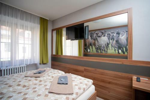 Hotel U Kon?