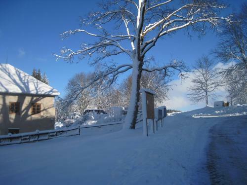 Hostal Ubytov�n� Elias