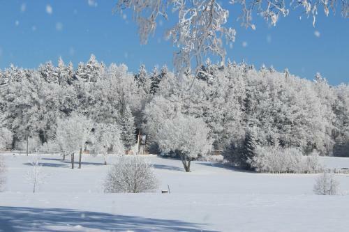 Hostal Penzion Fo?tovna