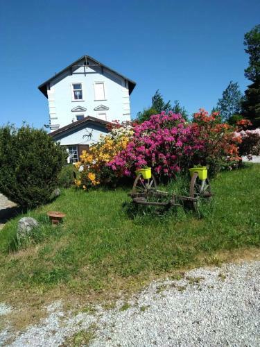 Hostal Penzion Antonea