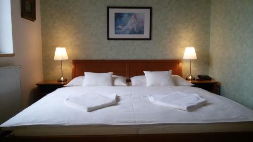 Hostal Pension U Labe