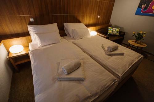 Hotel Na ?ustn?