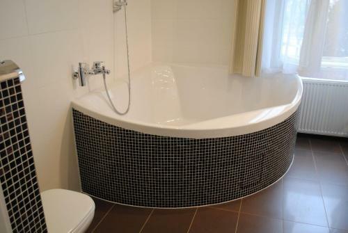 Hotel Z�me?ek Petrovice