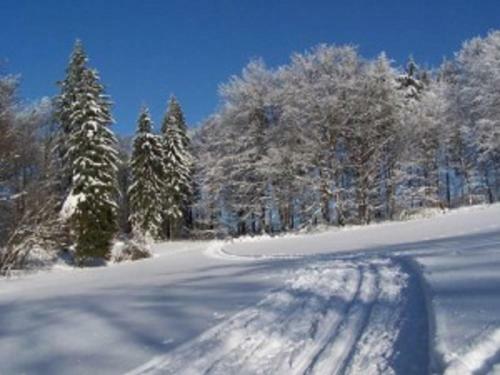 Hostal Apartm�ny Polevsko
