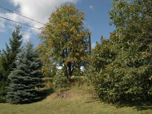 Holiday Home Peja