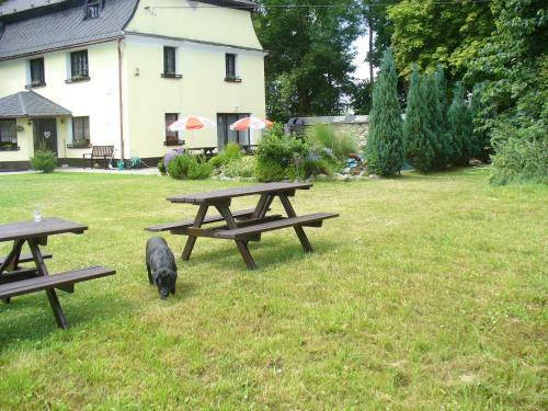 Posada Penzion Pytl�k