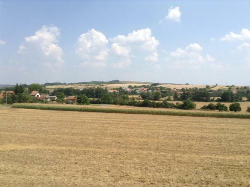 Vinn� Sklipek U Sidonie