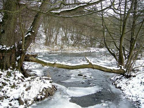 Bed & Breakfast Bnb Eifelpension Br�ckenschenke