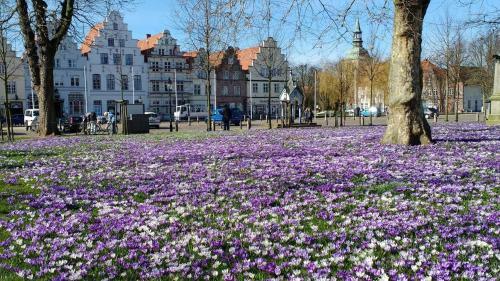 Albergue Jugendherberge Friedrichstadt
