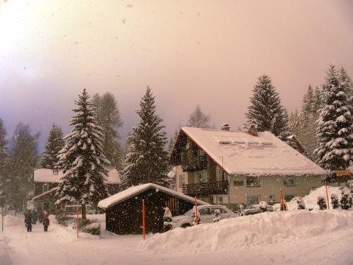 Bed & Breakfast Pension Arabela