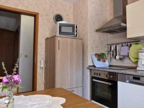 Apartment Novotny