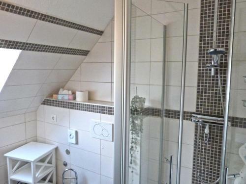 Apartment Novotny
