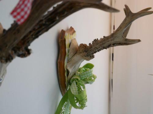 Ferienhaus Knodel