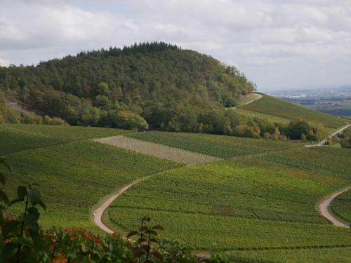 Ferienhaus Knodel