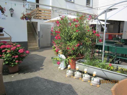 Hostal Pilliger Hof