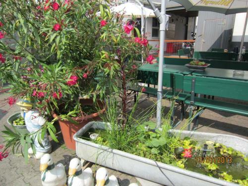 Hostal Pilliger Hof
