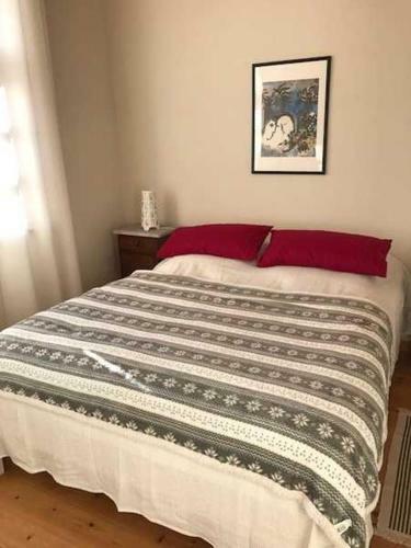Apartamento Friedrichsen_ Karin