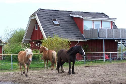 Apartamento Urlaub Auf Dem Bauernhof