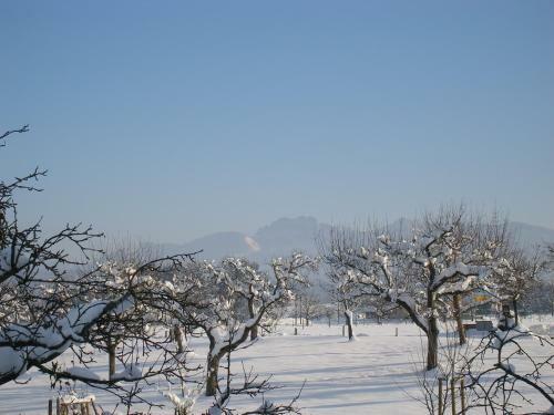 Apartamento Gschwingerhof