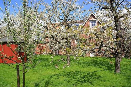 Apartamento Knubberhaus _ Das Ferienhaus Im Ki