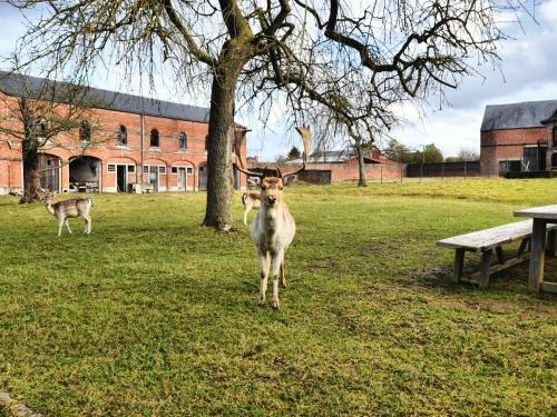 Holiday Home Chateauferme Delhaise Mesnil St. Blaise