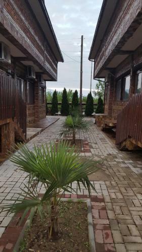 Hostal Apartments Dan Dar