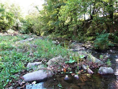 Gutenburgh�sli