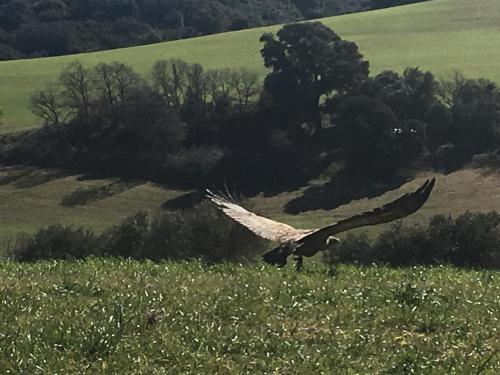 Agroturismo Ruralfranxuli