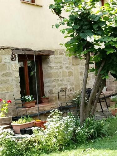 Agroturismo Los Colmenares