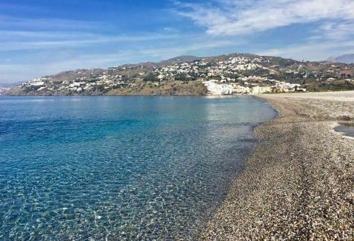 Global 20