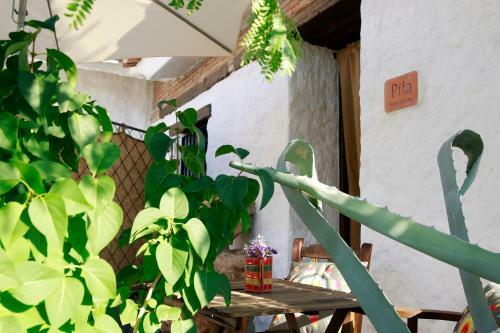 Hotel Balcones De Piedad