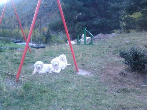 Camping Serra