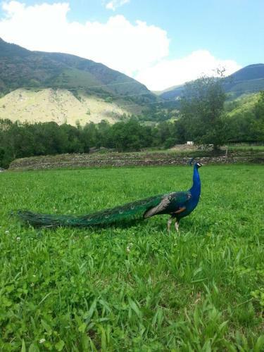 Camping Serra