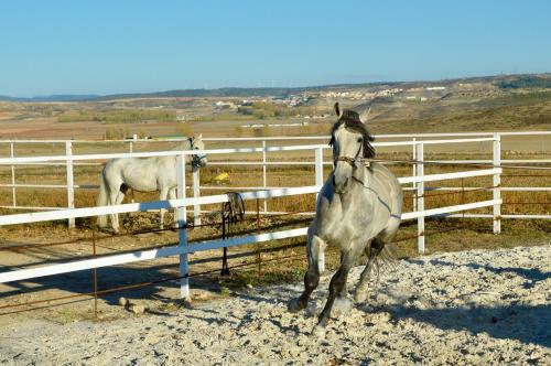 Hostal Rural Reillo