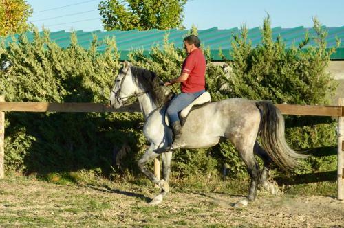 Hostal Rural Reillo