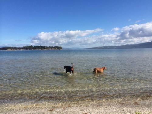 Discover Bruny Island Holiday Accommodation