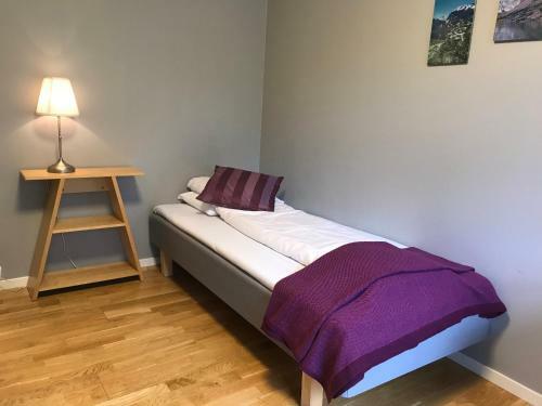 Gaupnetunet Hotell
