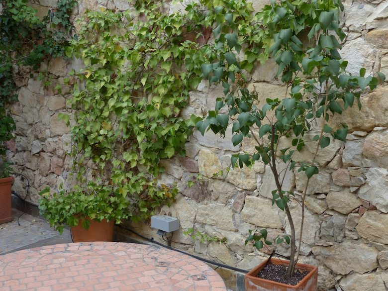 Hotel Hosteria Del Arco