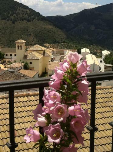 Hostal Balc�n Del Velillos-"rinc�n De Marcelo"