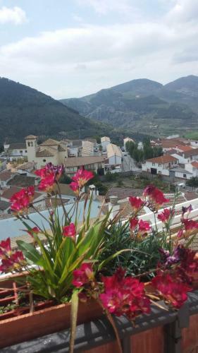 Hostal Balc�n Del Velillos-"rinc�n De Marcelo"