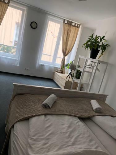 Boutique Hostel - Zum Goldenen Kegel