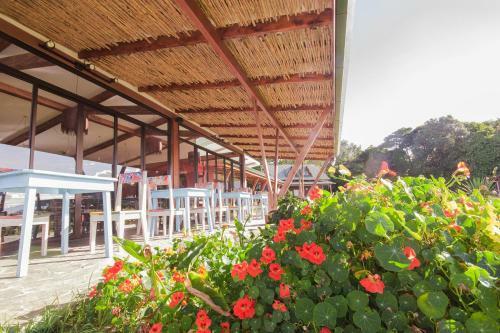 Chayote Lodge