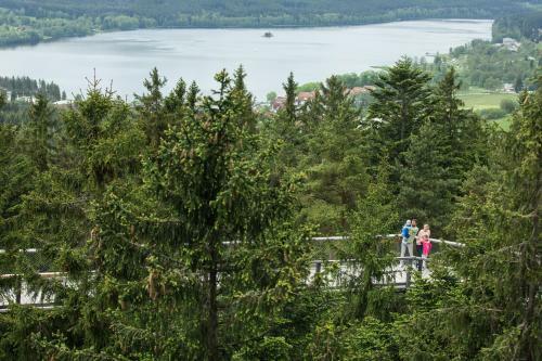 Apartm�n Lipno 50/18