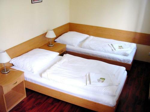 Hostal Penzion Bowling Sedlcany