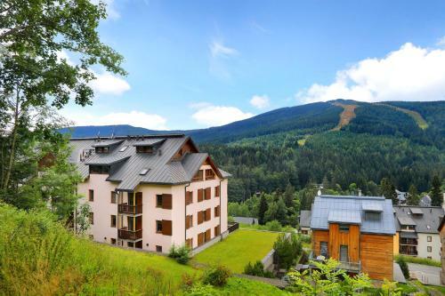 Apartment Dalibor ?pindler?v Ml�n