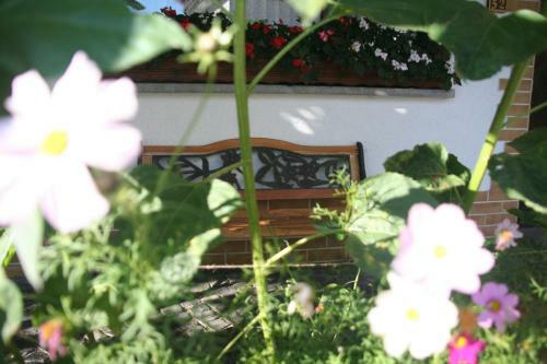 Hotel - Restaurant Berghof