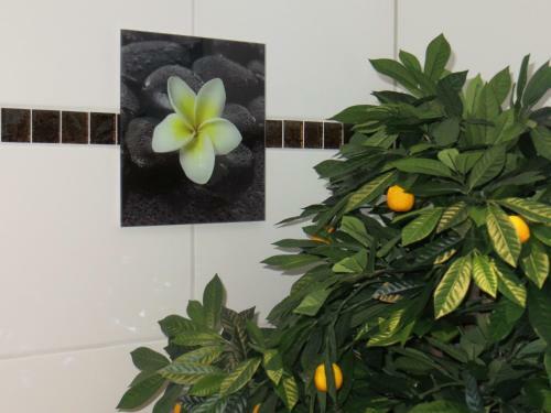 Apartamento Ferienwohnungen Familie Schwarze