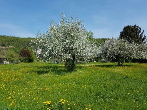 Apartamento Ferienwohnungen Familie Schwarze